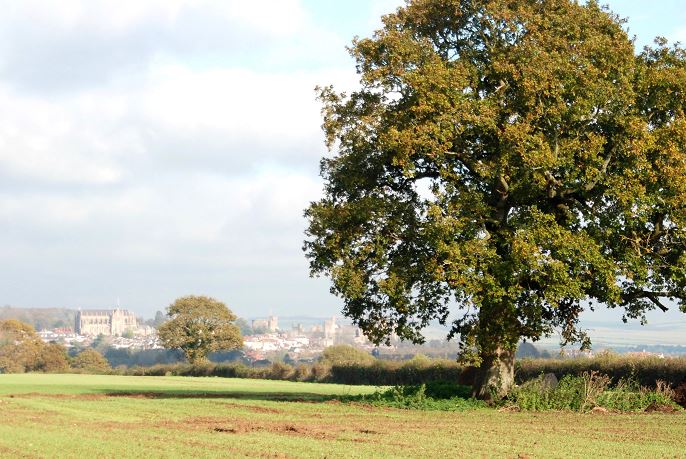 Arundel Countryside overlooking Arundel